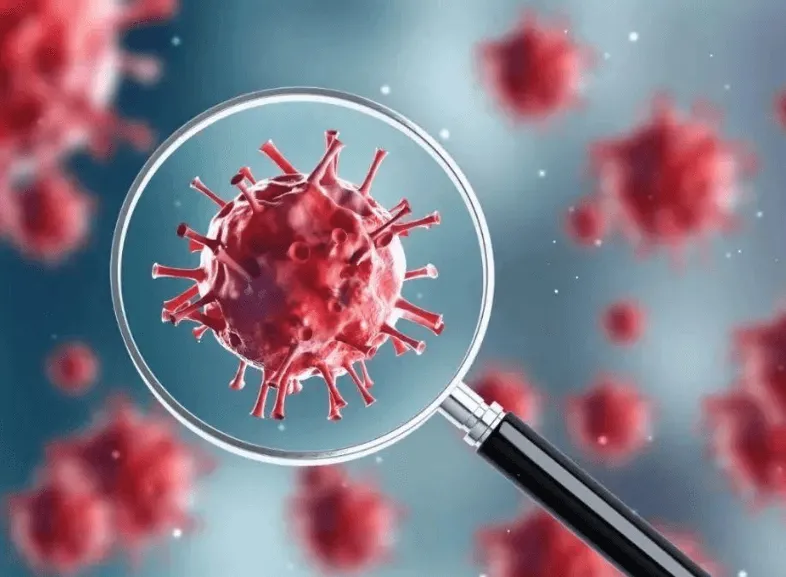 Anticancer effect Anticancer effect